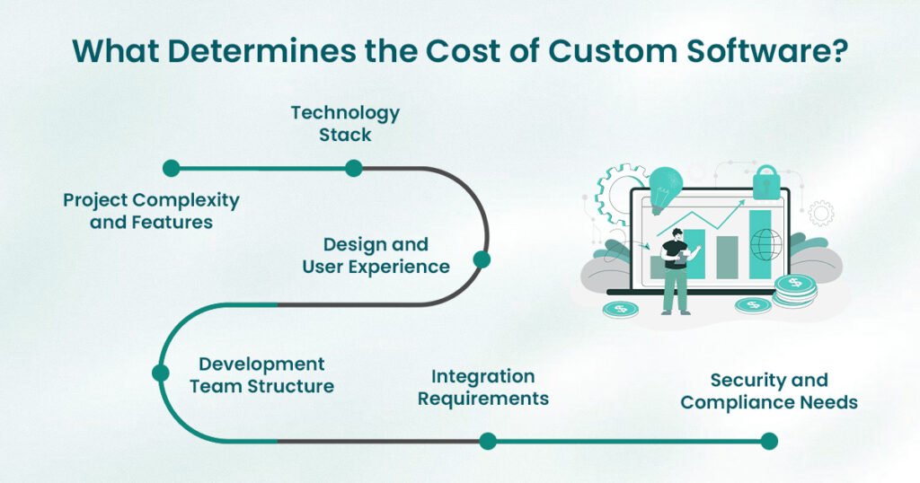cost of custom software